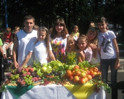 photo-4299517_266807058